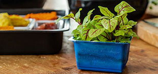 ANL Packaging blue cress tray for agriculture